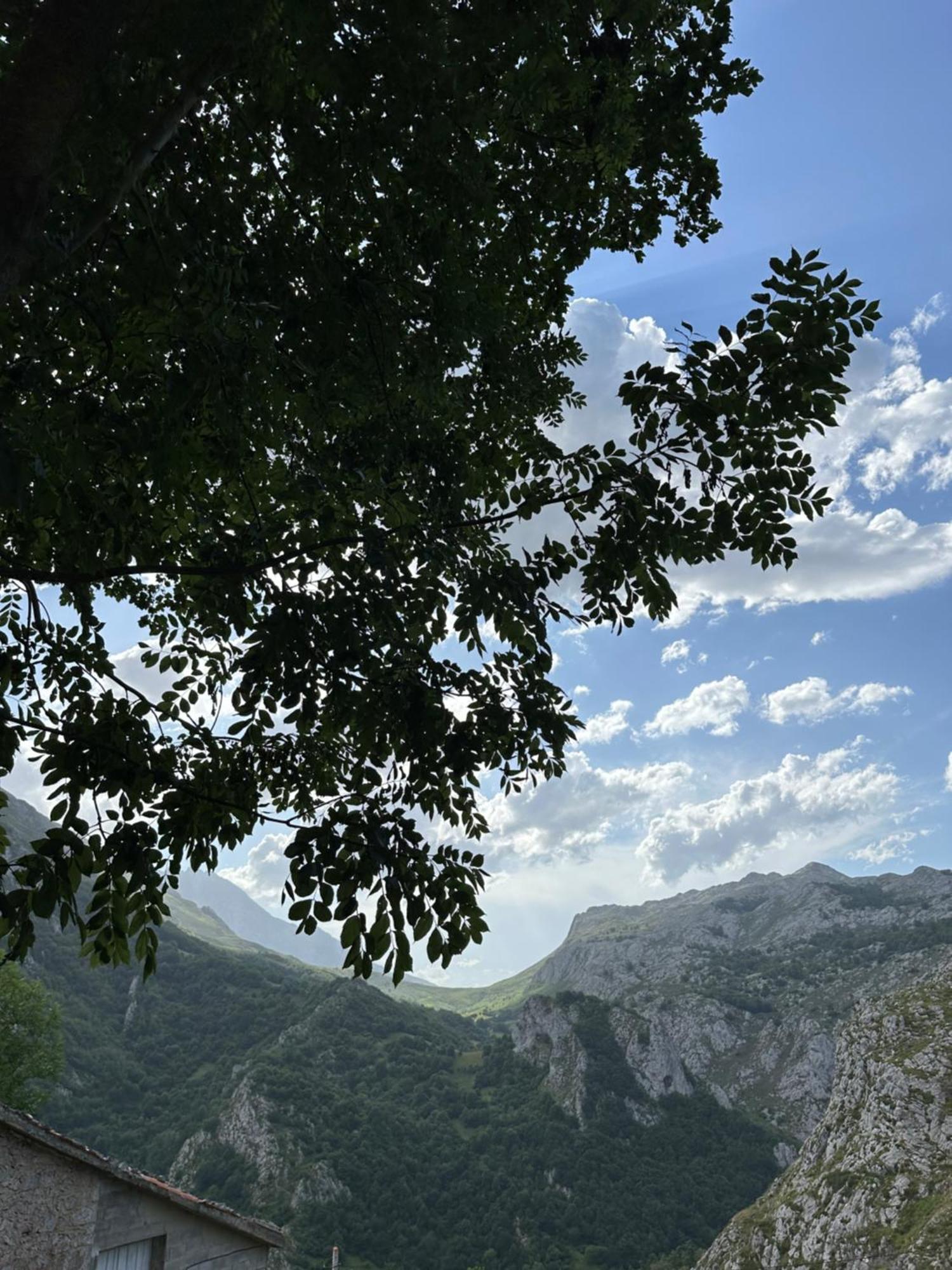 Albergue Pena Castil Sotres Exteriér fotografie